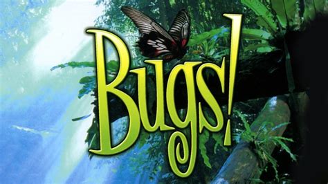 bug watches|watch bugs 2003 online free.